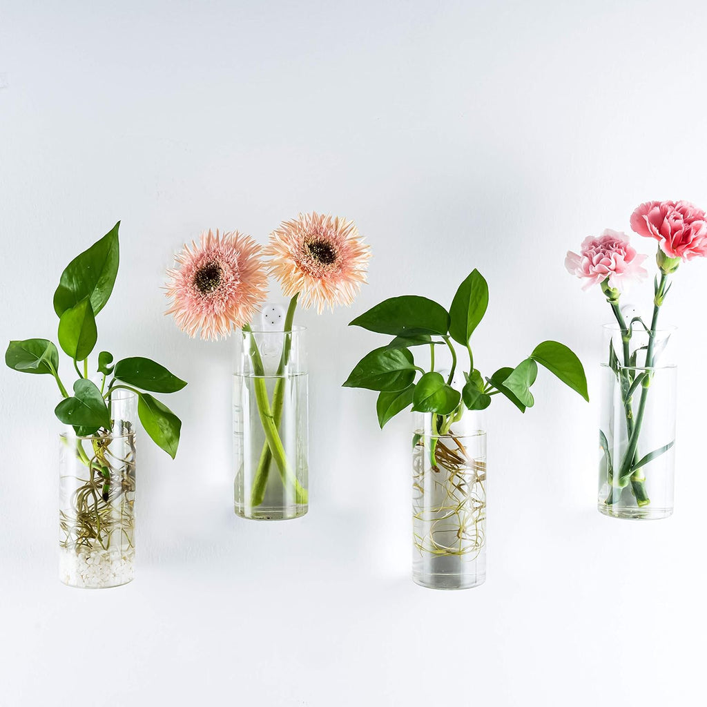 Short Cylinder Wall Planter 2 Pack, Clear Glass Hydroponic Tubes | Borosilicate Glass, Clear & Durable. Wall-Mounted. Ideal for Hydroponics, Air Plants, Cuttings. Great Gift for Plant Lovers.